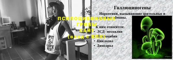 гидра Балахна
