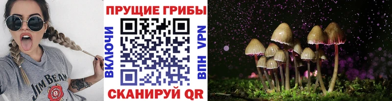 Псилоцибиновые грибы прущие грибы  Купить закладки  Углегорск 